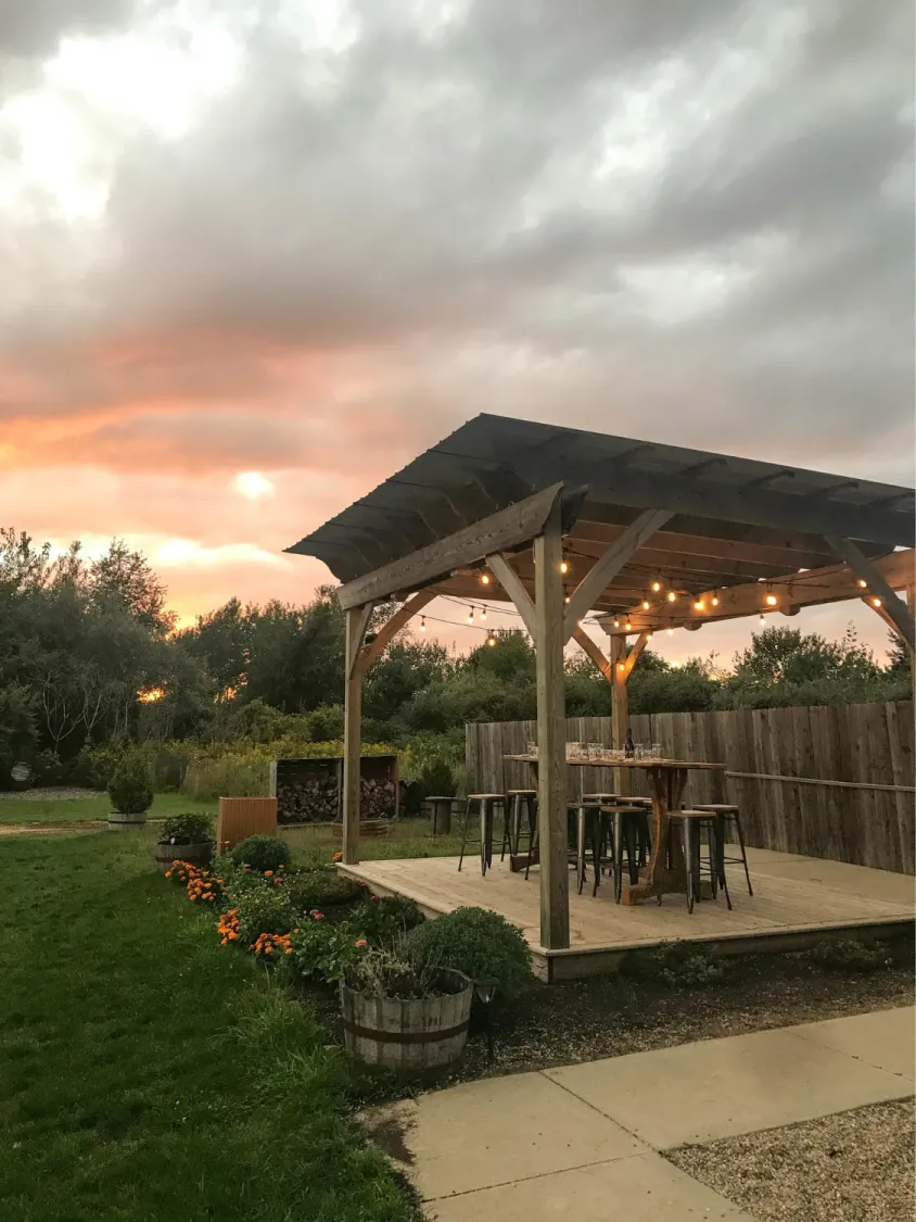 Cat-in-a-Hammock-backyard transformation