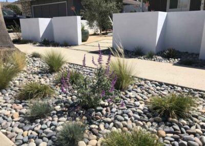 Drought Tolerant Landscaping – Ventura, CA
