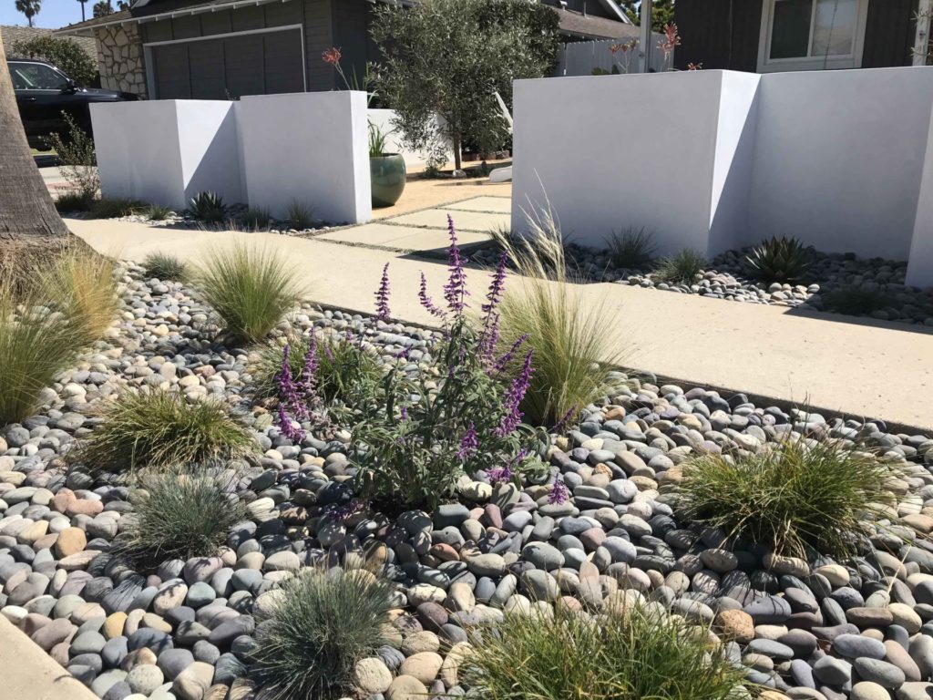 Drought Tolerant Landscaping