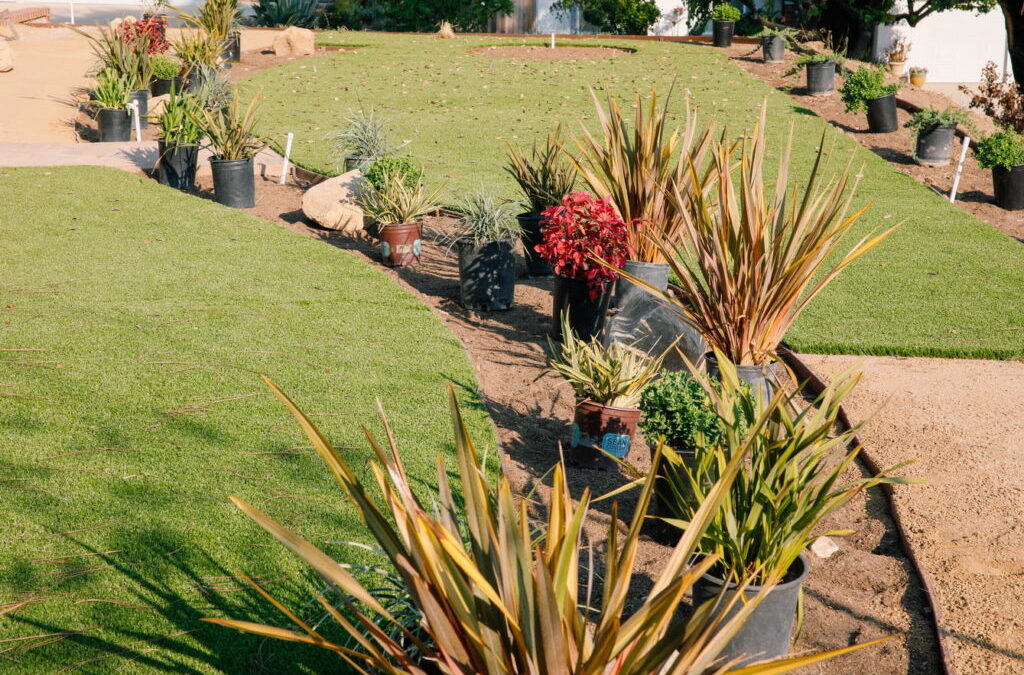 Designer Landscape Harborview Ct, Ventura CA