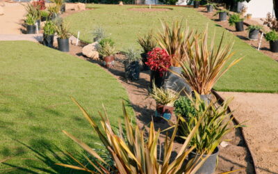 Designer Landscape Harborview Ct, Ventura CA