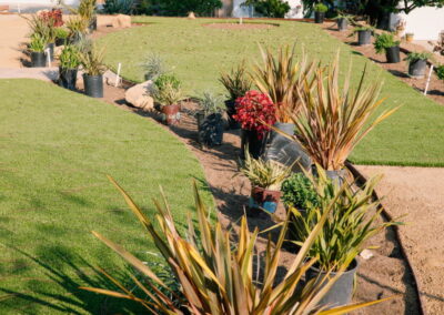 Designer Landscape Harborview Ct, Ventura CA