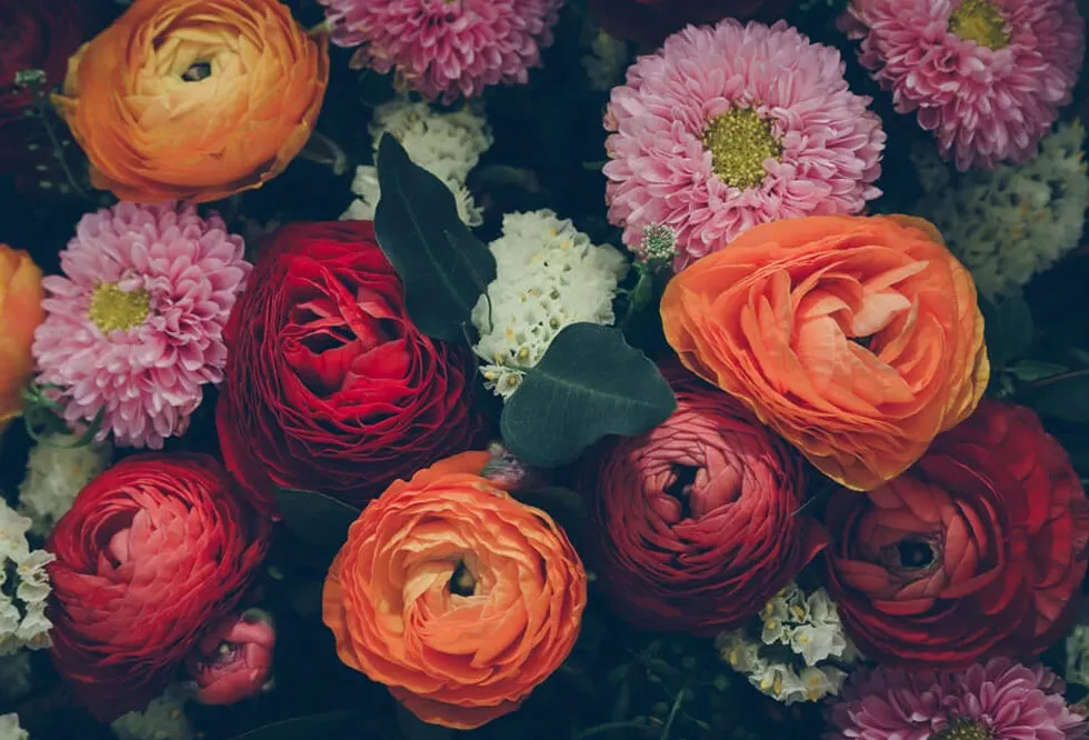 colorful-flowers-8