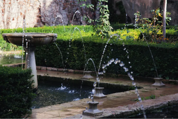 Amazing Water Features to Complete Your Backyard