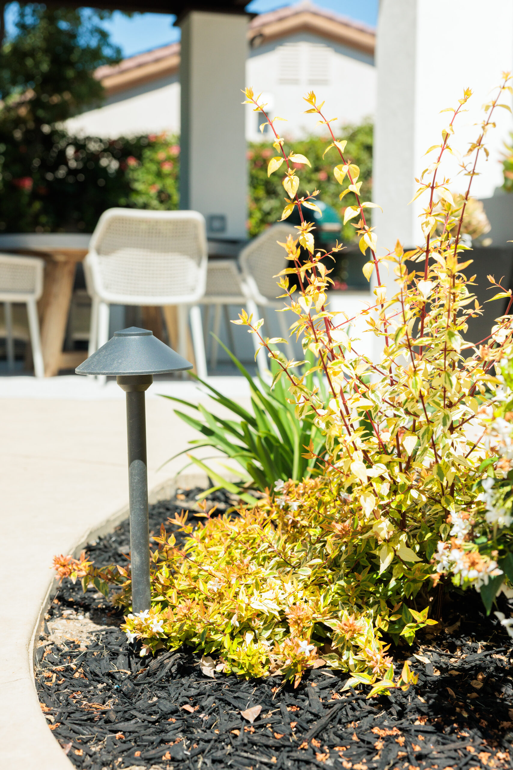 Custom landscape design with planting beds and landscape lighting